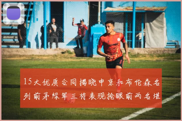 15大优质合同揭晓申京和布伦森名列前茅绿军三将表现抢眼前两名堪称传奇